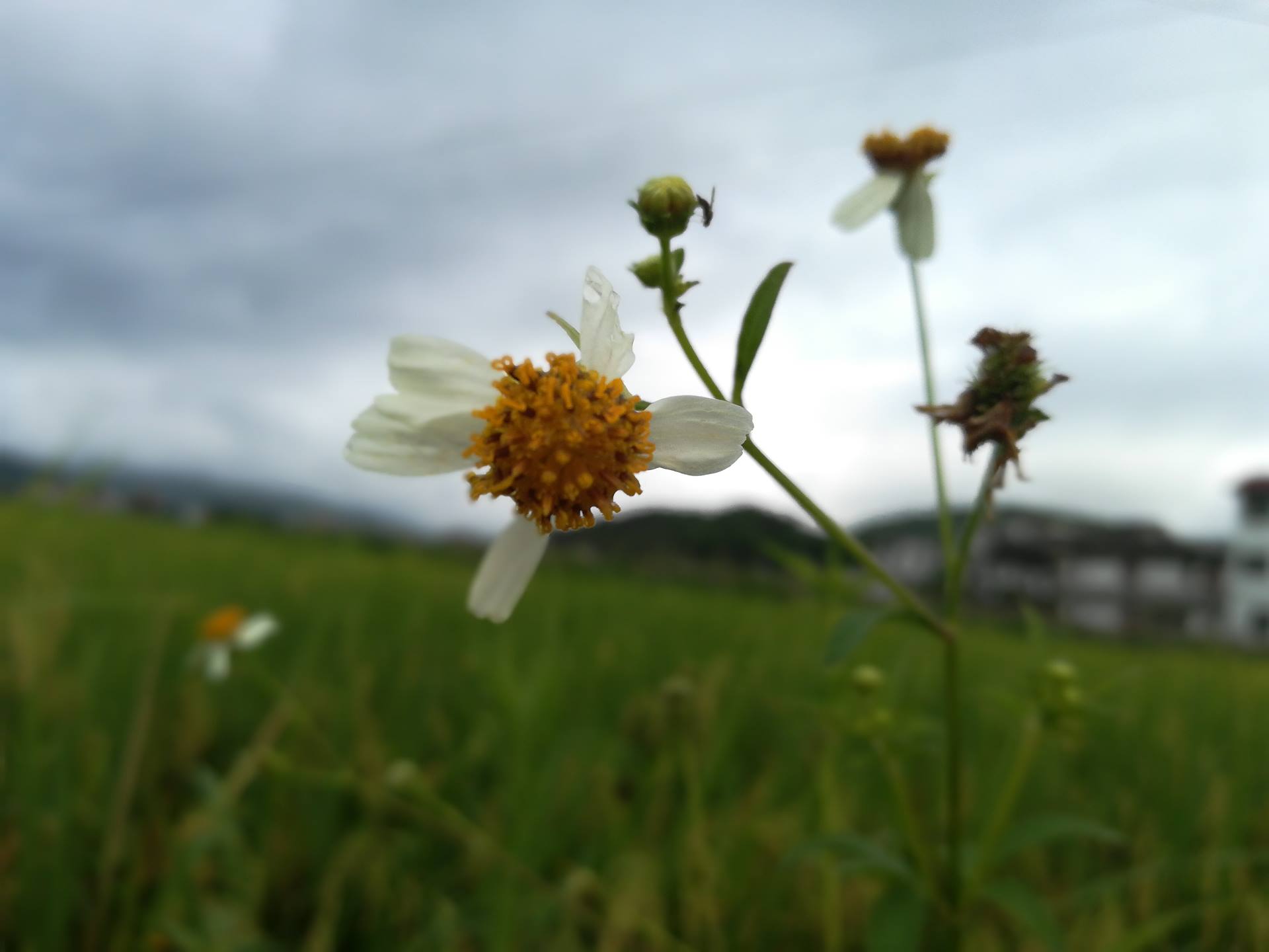 畅游仙洞古井公园