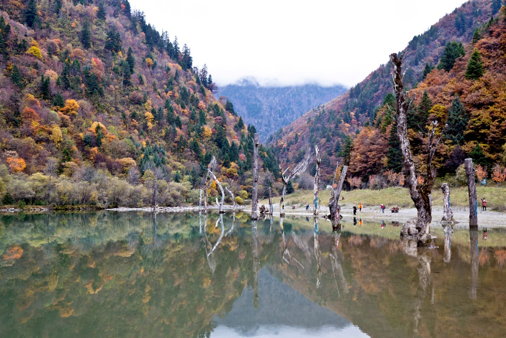 川西北赏秋，就去黑水看彩林，八十里画廊美轮美奂